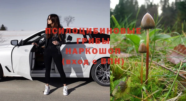 прущая мука Абаза