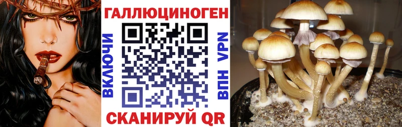 Галлюциногенные грибы Cubensis  наркошоп  KRAKEN рабочий сайт  Старый Крым 